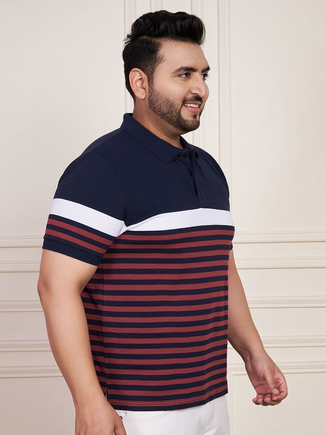 AUSTIVO  Striped Polo Collar Regular Sleeves Cotton Regular Fit Tshirt thumbnail 5