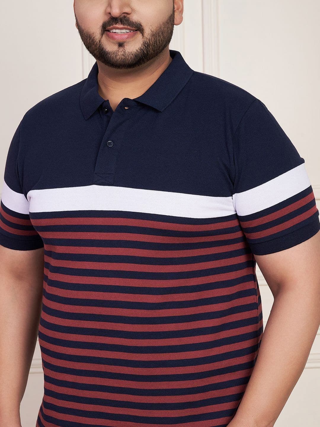 AUSTIVO  Striped Polo Collar Regular Sleeves Cotton Regular Fit Tshirt thumbnail 6