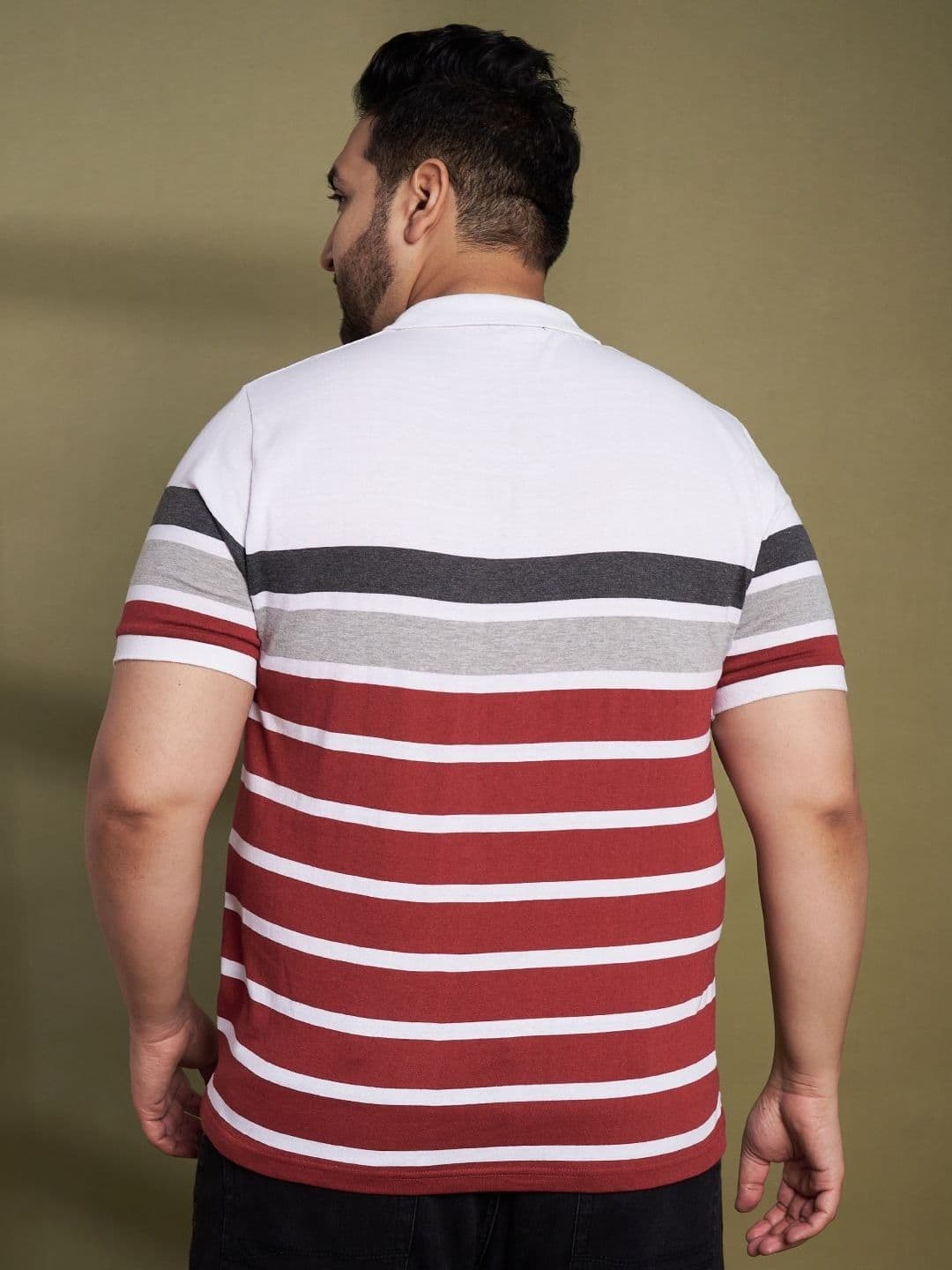 AUSTIVO Striped Polo Collar Regular Fit T-shirt thumbnail 3