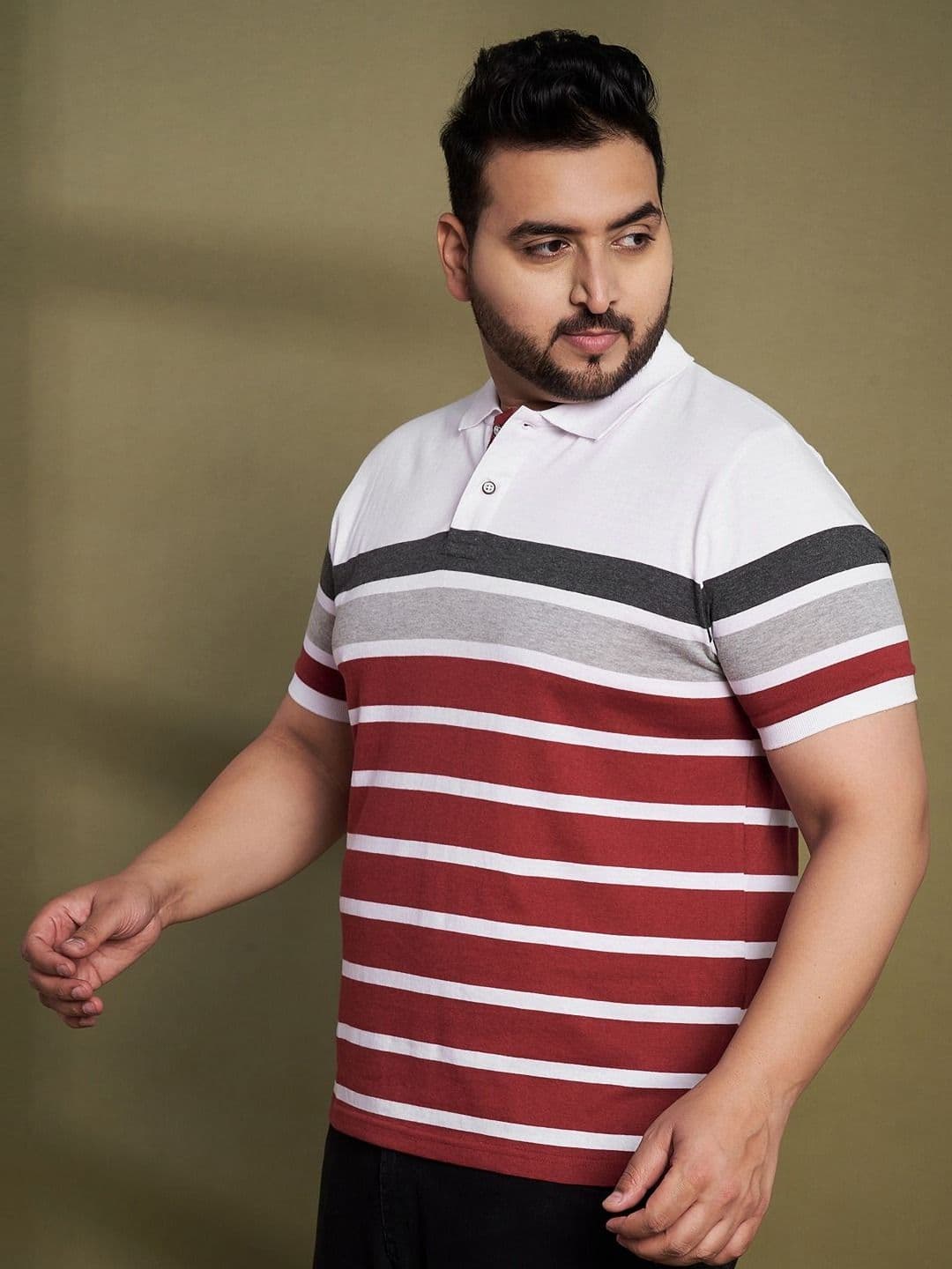 AUSTIVO Striped Polo Collar Regular Fit T-shirt thumbnail 4