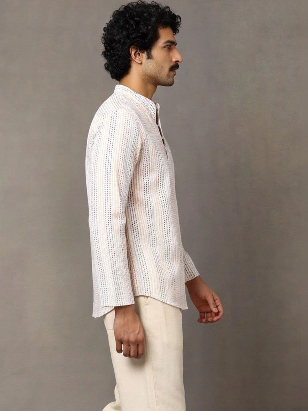 Navibhu Woven Design Striped Cotton Handloom Mandarin Collar Short Kurta thumbnail 3