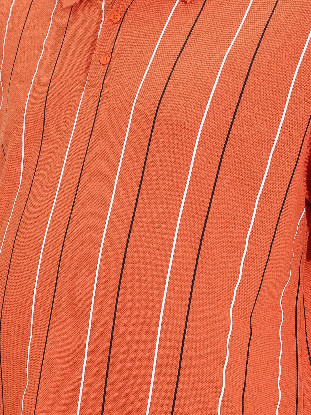 Sztori Plus Size Striped Polo Collar Pure Cotton T-shirt thumbnail 2