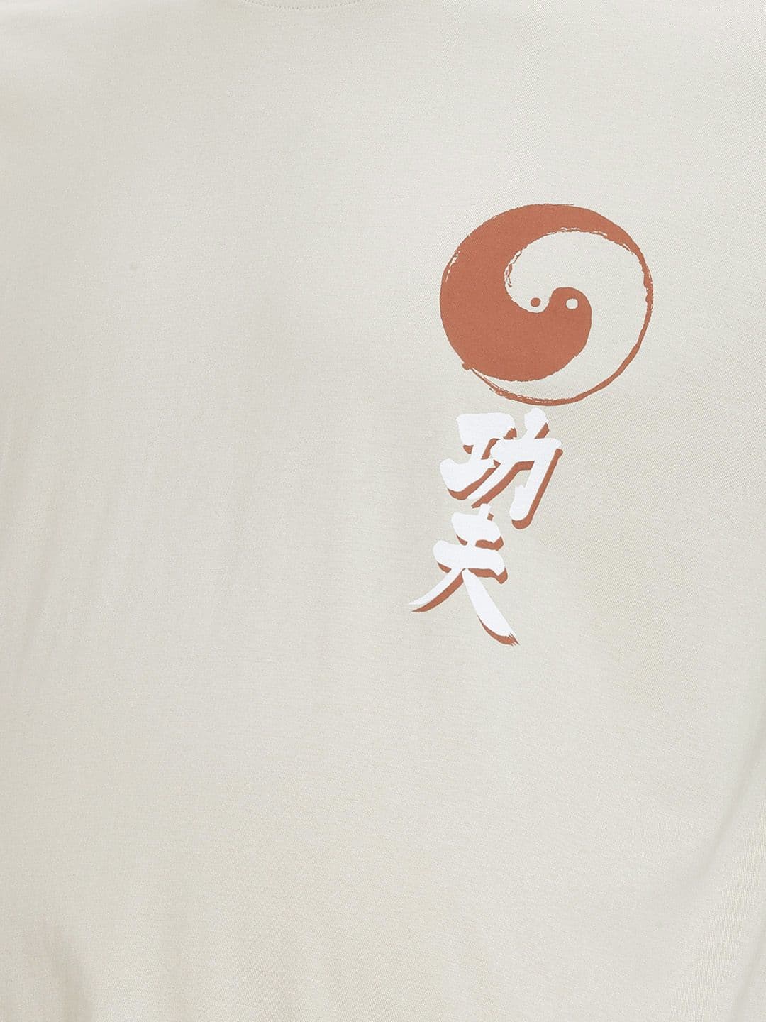 Sztori Plus Size Kung Fu Panda Printed Drop-Shoulder Sleeves Pure Cotton T-shirt thumbnail 2