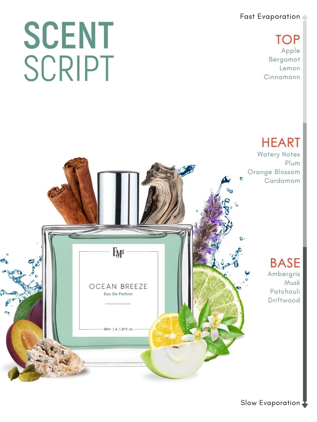 EM5 Ocean Breeze Strong & Long Lasting Eau De Parfum - 50 ml thumbnail 3