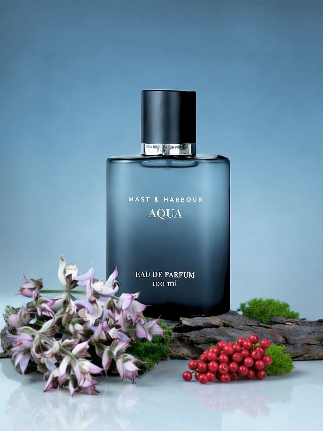 Mast & Harbour Men Aqua Eau De Parfum 100 ml - view 1