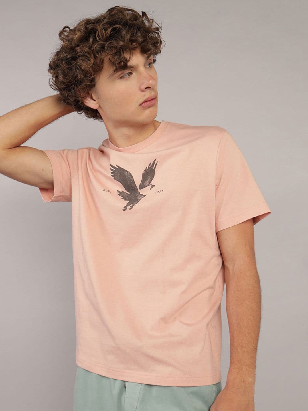 AMERICAN EAGLE OUTFITTERS Men Printed Tropical T-shirt - view 1