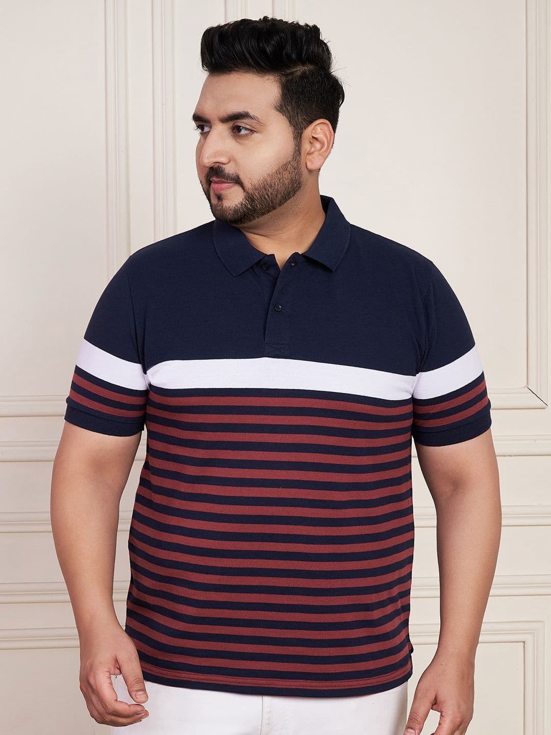 AUSTIVO Striped Polo Collar Regular Sleeves Cotton Regular Fit Tshirt - view 1