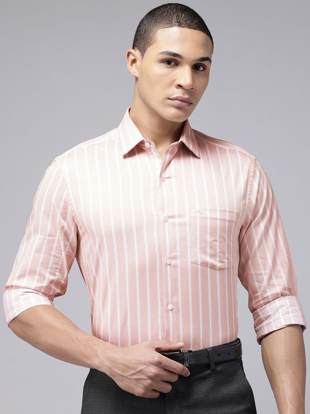 Arrow Manhattan Slim Fit Striped Pure Cotton Formal Shirt - view 1