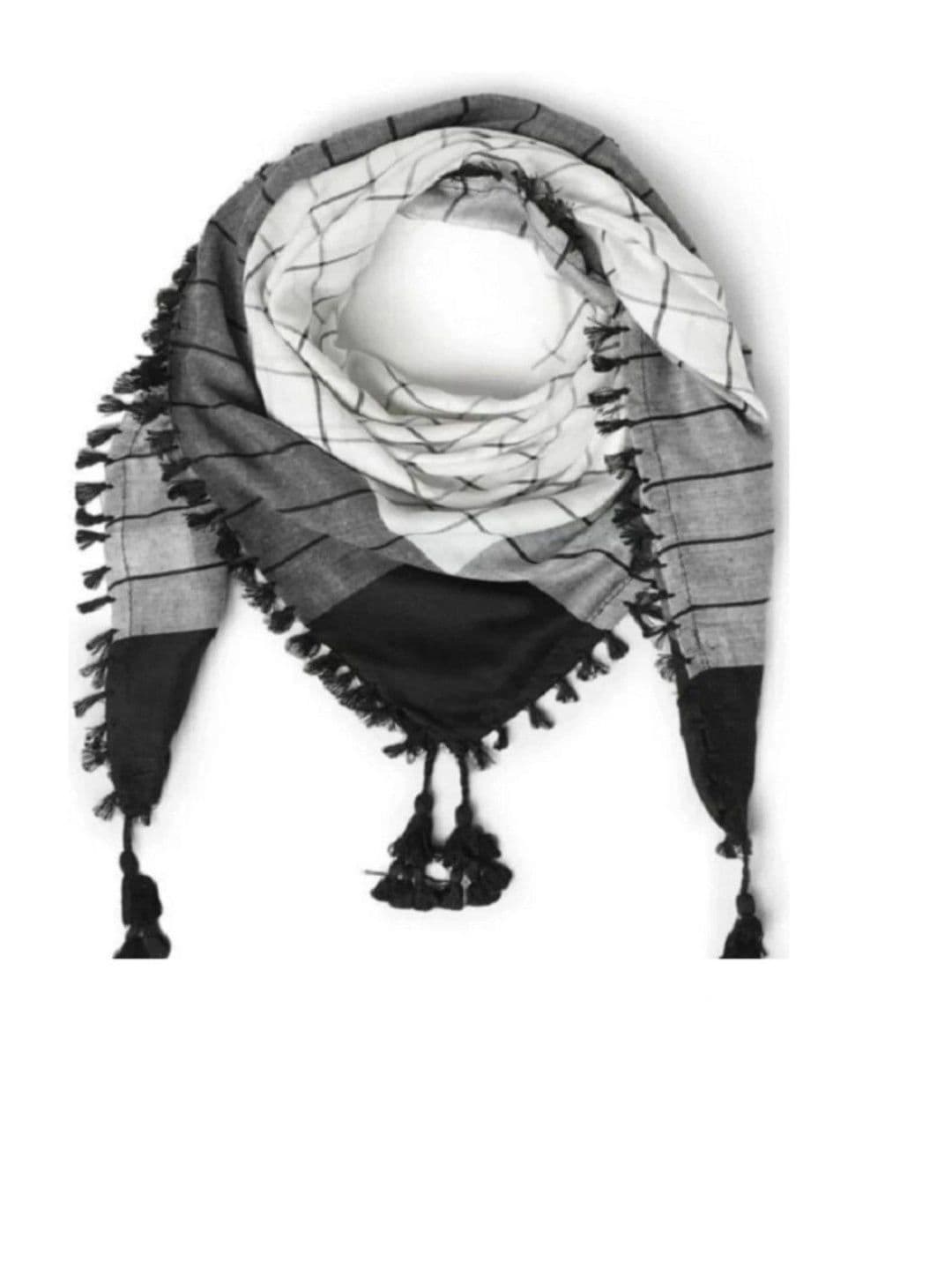 HUSSAIN HANDLOOM Unisex Checked Scarf - view 1