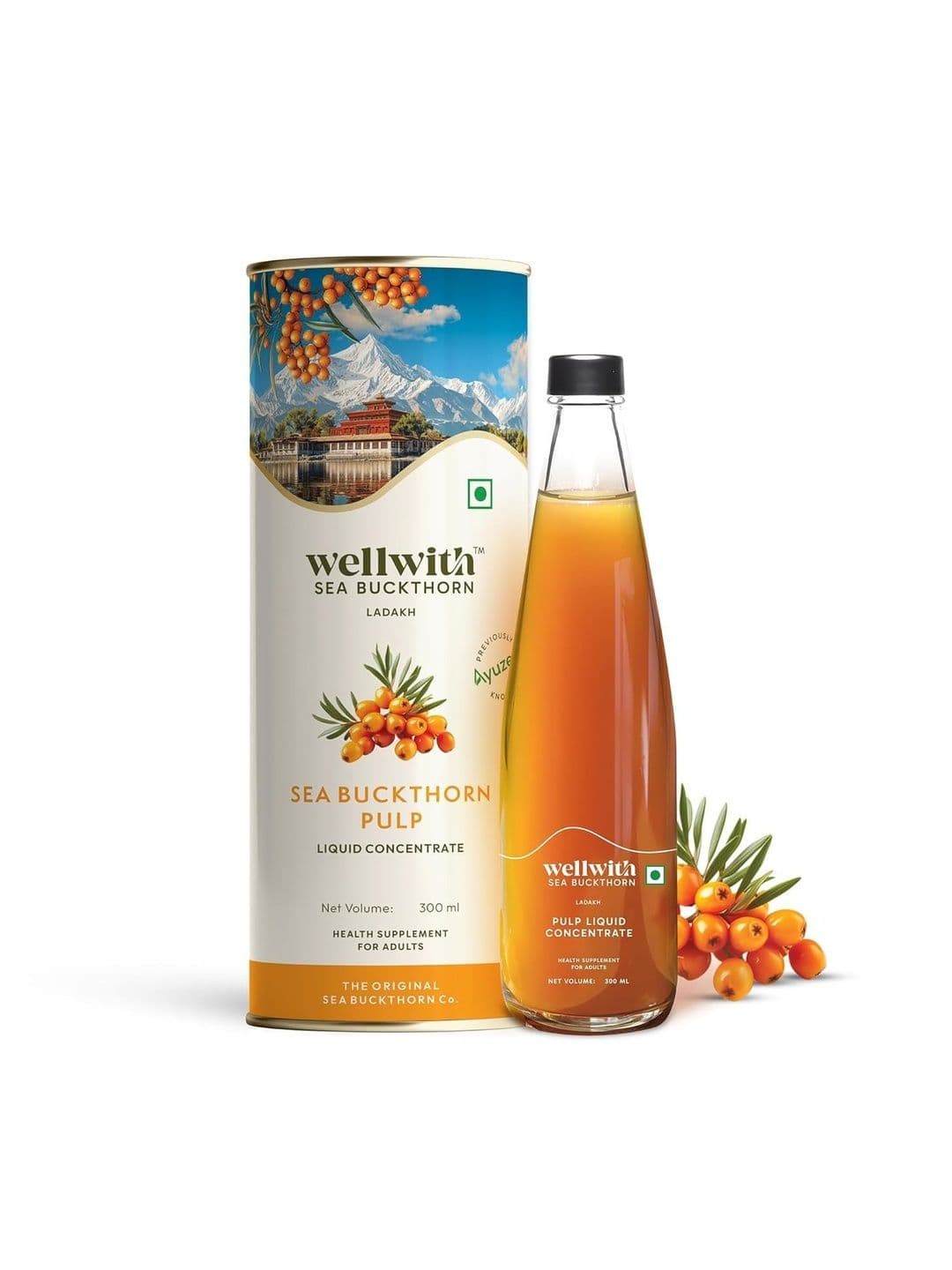 WELLWITH Seabuckthorn Pulp- 300 ml - view 1