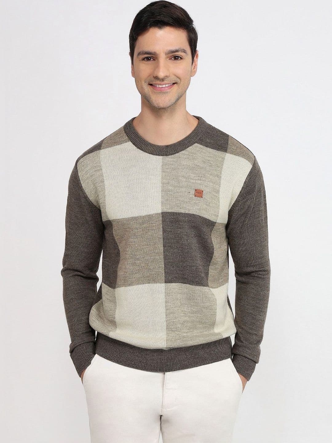 ColorPlus Men Checked Pullover - view 1