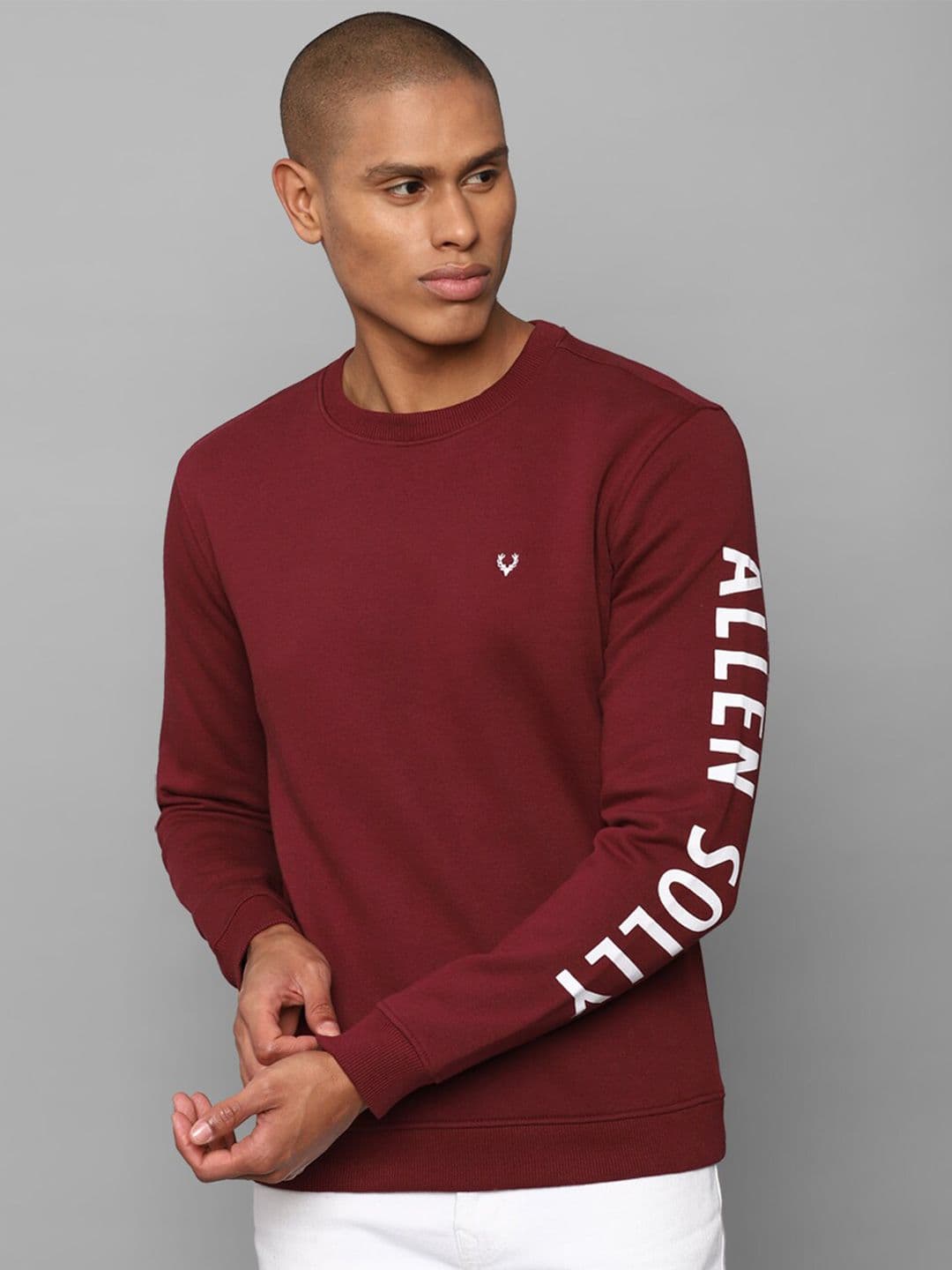 Allen Solly Men Maroon Solid Pullover - view 1