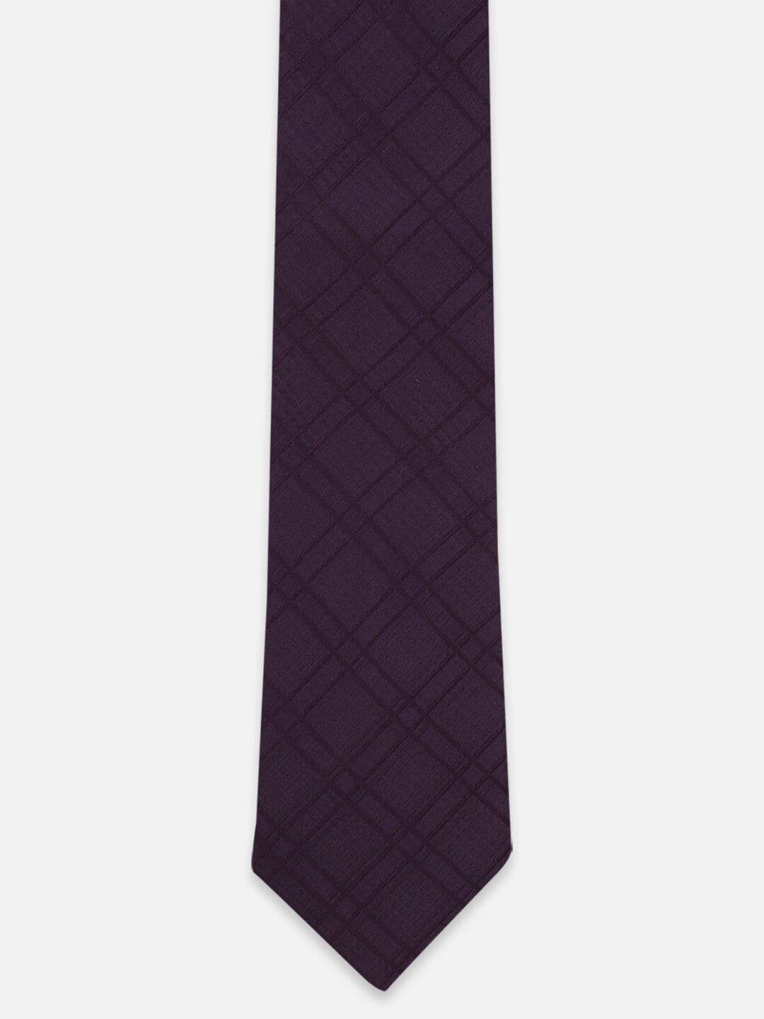 Peter England Men Checked Broad Tie - view 1