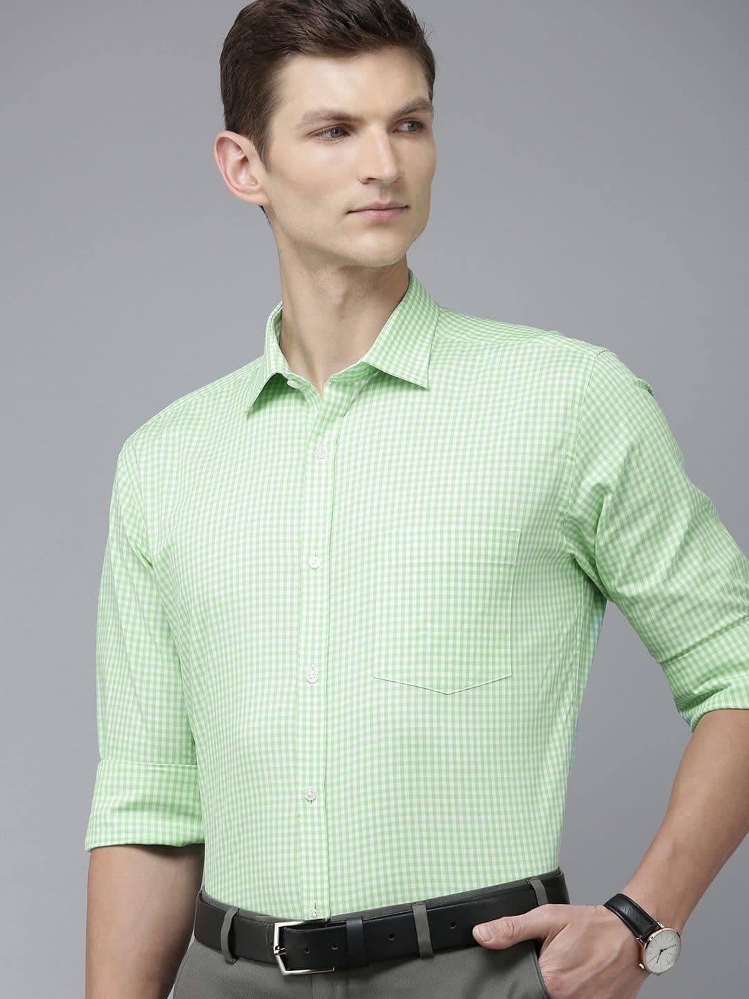 Park Avenue Men Slim Fit Gingham Checks Opaque Pure Cotton Formal Shirt - view 1