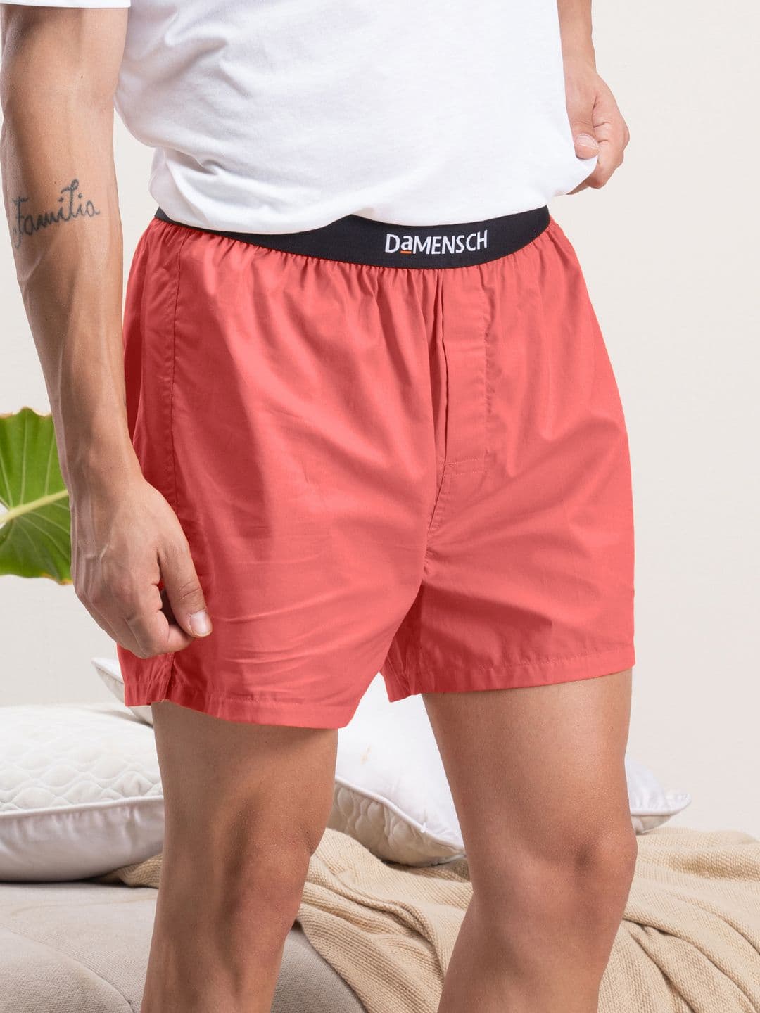 DAMENSCH Breeeze Ultralight Pure Cotton Inner Boxer - view 1