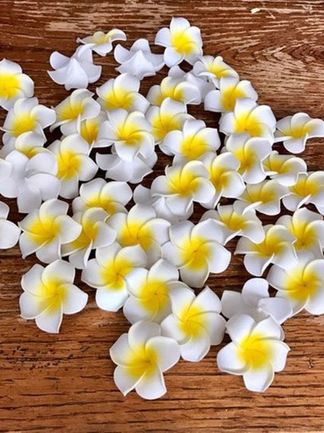 TIED RIBBONS White Yellow Set of 30 Hawaii Plumeria Artificial Floating Flowers - view 1