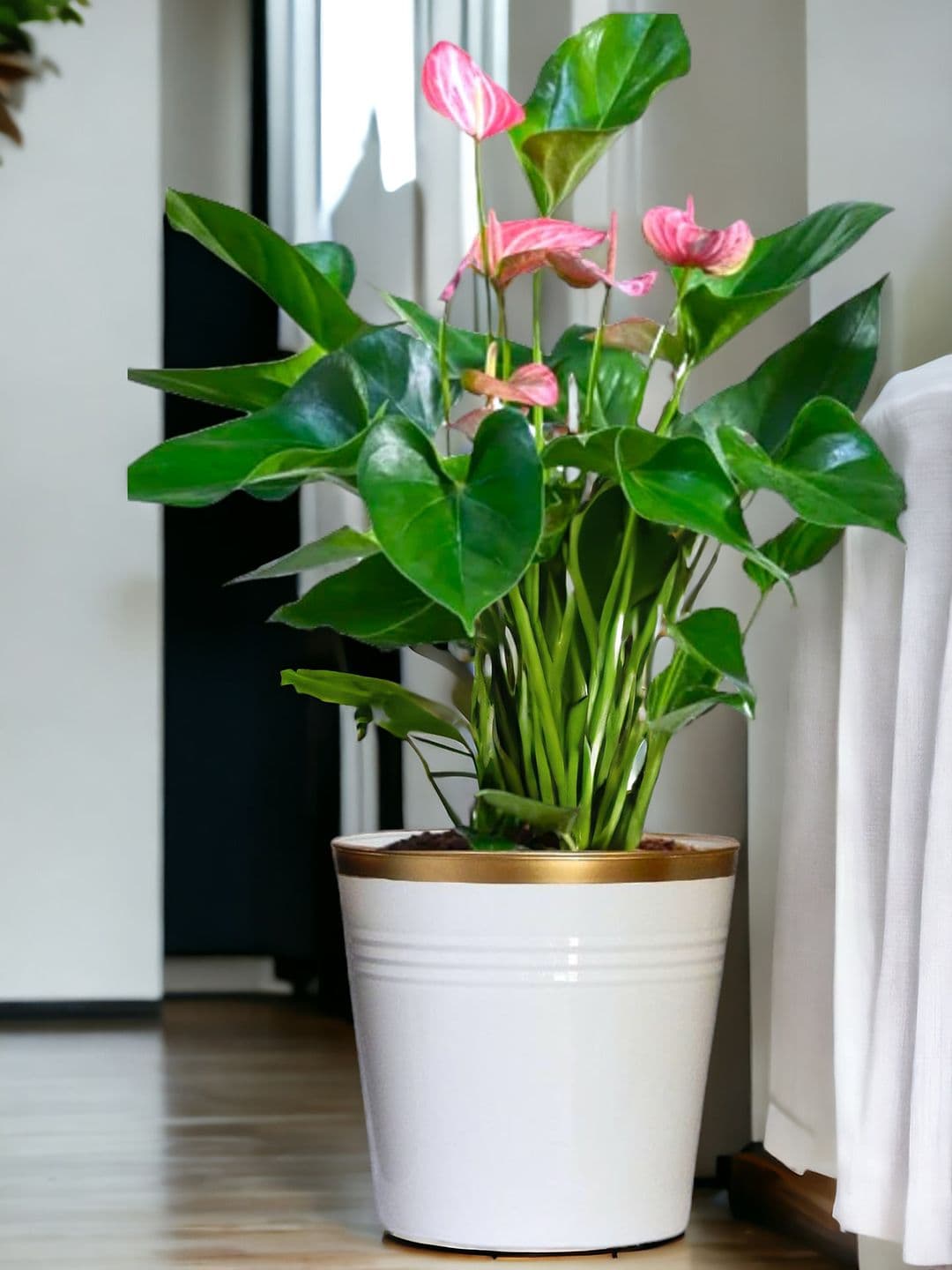 ecofynd White Round Large Metal Planter Pot - view 1
