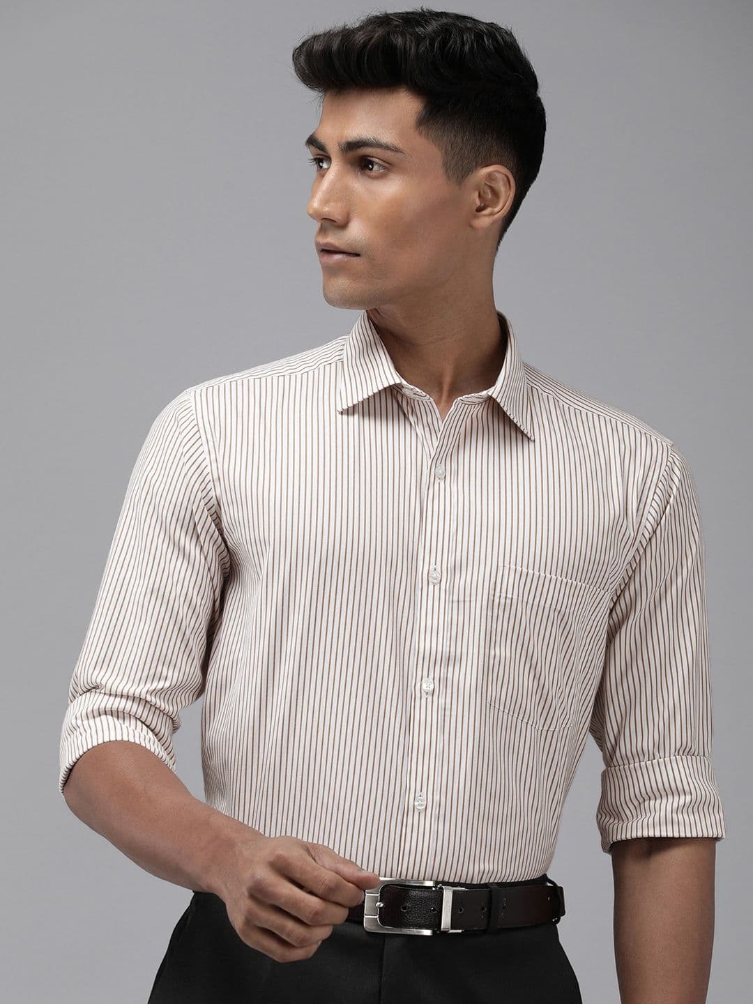Park Avenue Slim Fit Opaque Striped Formal Shirt - view 1
