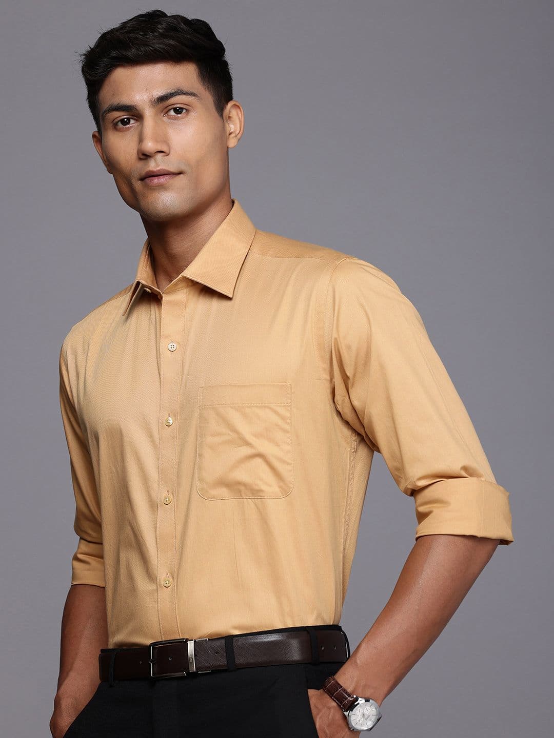 Raymond Pure Cotton Standard Fit Formal Shirt - view 1